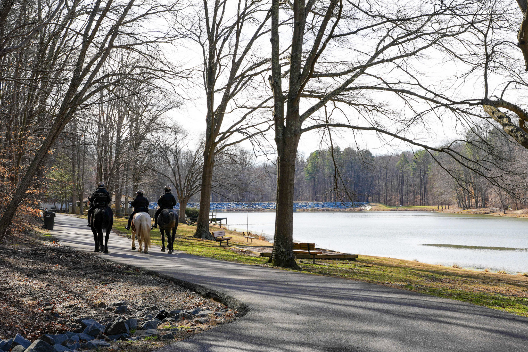 beautiful lake with trees and benches. Police on horseback ride on a paved trail.